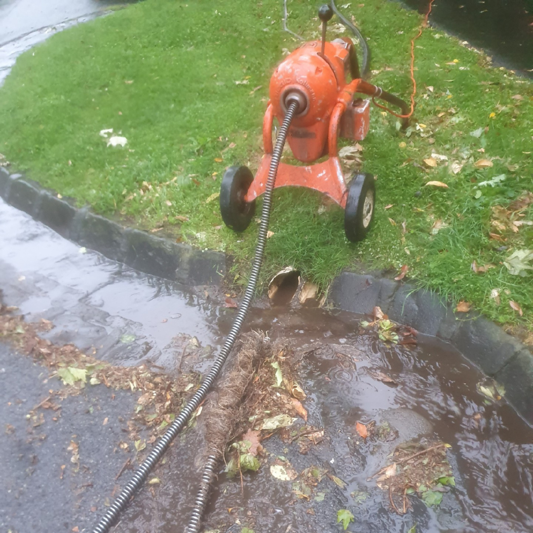 Plumber Melbourne, Fairfield, Tree Roots Pulled from Street