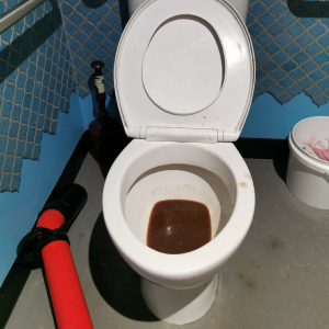 Plumber Melbourne, Springvale, Blocked Toilet